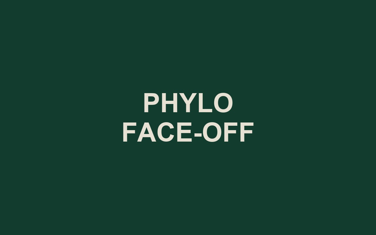 Phylo Face-off screenshot